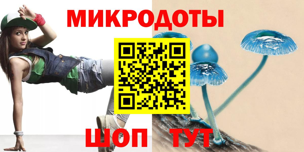 Псилоцибиновые грибы Psilocybine cubensis Долгопрудный
